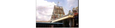 கொல்லங்குடி காளி - சிவகங்கை - தமிழ்நாடு
